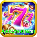 aaron finch Premium Plus v4.6.3