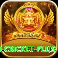 afghanistan cricket Slot Machine Champion