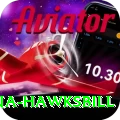 antigua hawksbill Apps (Tools & Injectors) Pro v1.0.6