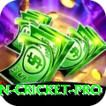 australian cricket Games Turbo