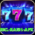 bbl big bash apk Games (Casino & Earning) Turbo v1.4.9