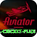 bbl cricket Games Master
