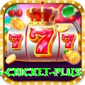bet365 cricket Supreme Casino App