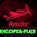 bingopkr VIP v2.6.5