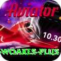 chris woakes Plus v1.9.7