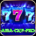 cricket asia cup - Super Edition v5.4.1