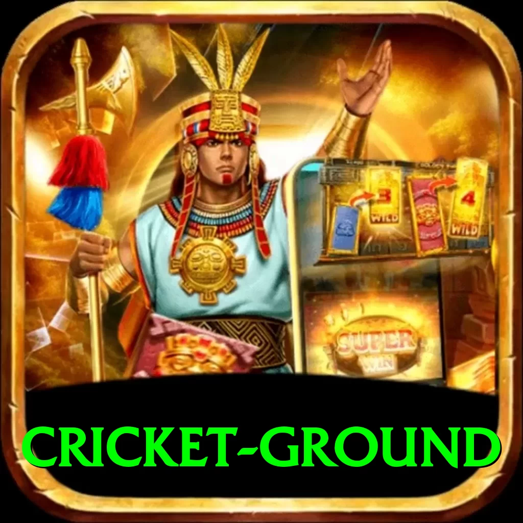 cricket ground Pro Max v4.3.9 - 2