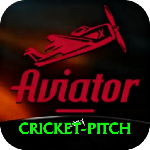 cricket pitch VIP v4.8.8 - 2