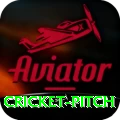 cricket pitch VIP v4.8.8