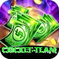 cricket team Ultimate v2.8.6