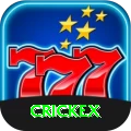 crickex Master vv1.5.2