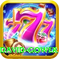 david gower Pro1 v3.7.6