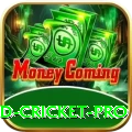 england cricket Champion - Free Download
