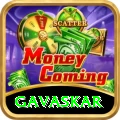 gavaskar VIP v5.4.4