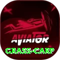 grass carp Plus Edition v5.9.6