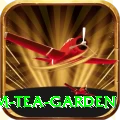 hile ilam tea garden VIP Edition v3.3.4