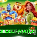 india cricket match Pro Max v4.9.2