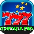 india cricket match schedule APK Pro v5.5.6