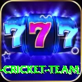 ireland cricket team Gold v1.8.1