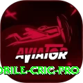 mobile cric Slots Premium v3.0.2