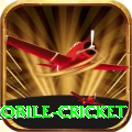 mobile cricket Master v1.4.6