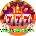 most test wickets Master v5.8.3