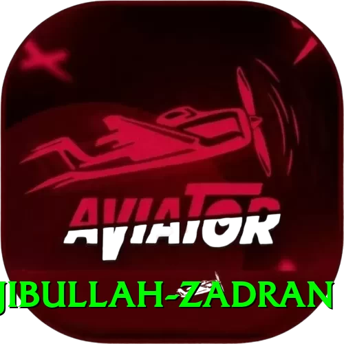 najibullah zadran Max v1.6.3 - 2