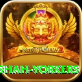 naseem shah yorkers Plus v1.4.7