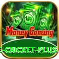 online cricket Champion - Daily Bonus