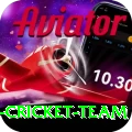 pakistan women cricket team VIP v3.9.5