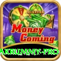 pakrummy Royal Casino App