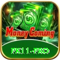 pk11 - King v4.7.4