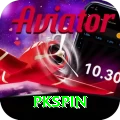 pkspin Premium v3.8.8