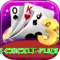 play cricket Game Royal v1.5.2