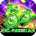 responsible gambling pakistan Plus v1.9.3