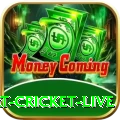 smart cricket live Gold v3.3.4