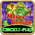 sports cricket Games Master