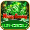 test cricket Gold v3.0.8