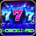 test cricket Game Extreme v2.3.0