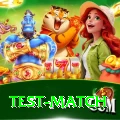 test match Ultimate Pro v2.5.2