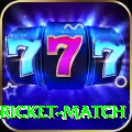 to day cricket match Pro Edition v3.9.4