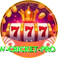 willow cricket Gold v3.5.8